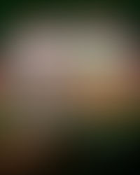 A mensagem por trás do Felis Natal das empresas