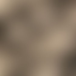 Mut in der Creator Welt