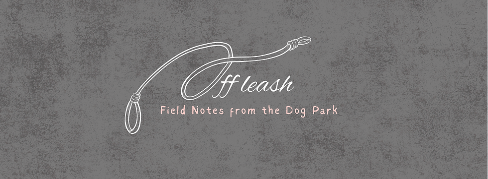 Screenshot 2025-06-27 at 2.42.06 PM.png