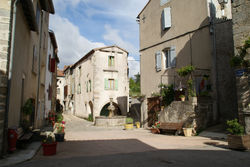 DSC07045.JPG