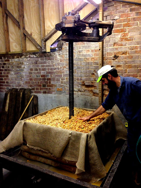 Crafting 100% Natural, Sustainable Cider in Suffolk