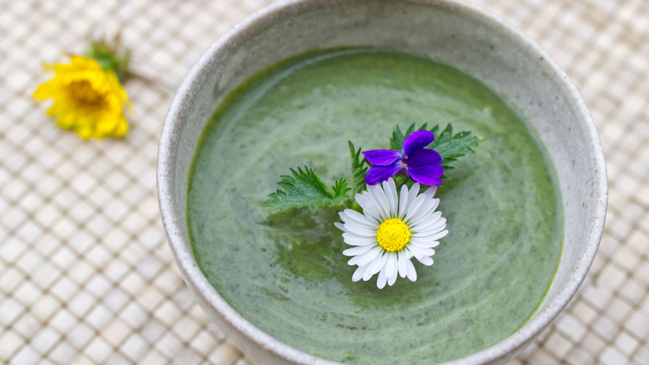 Brennnessel-Suppe mit Kokosmilch