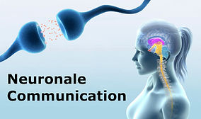 NeuronaleCommunicationNetz.jpg
