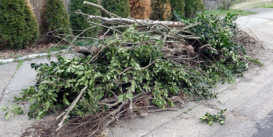Yard-Debris-Removal-San Antonio, TX