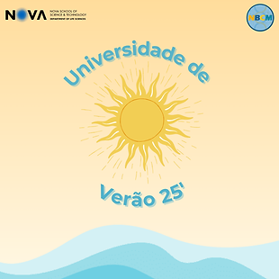 UNIVERSIDADE DE VERÃO 25'.png
