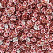 IMG_4089 2_edited_edited.jpg