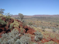 Ecoclimatology
