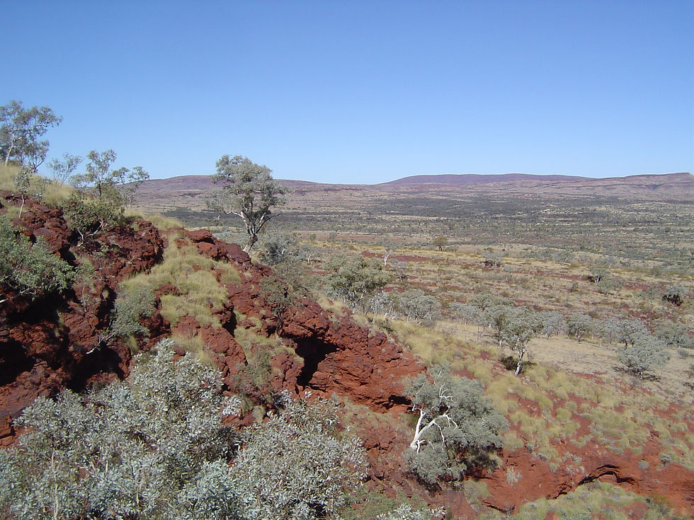 Fieldwork in outback Australia