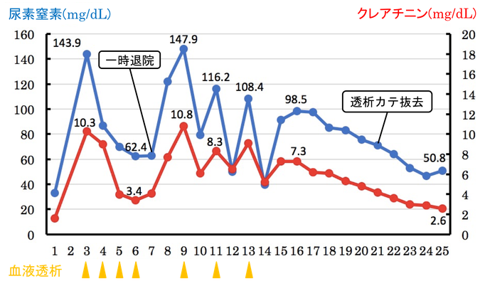 検査結果③(血液透析症例1)