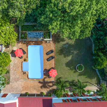 Aerial view of the pool, patio, and lush vegetation at the Feather Leaf Inn, a Caribbean eco-hotel.