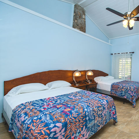 A bright airy room in the Dragonfly House at the Feather Leaf Inn, a Caribbean eco-hotel, with two queen beds and a doorway to a private balcony.Book now Caribbean wedding and retreat.Book now Caribbean wedding and retreat. BBook now Caribbean wedding and retreat. Book now Caribbean wedding and retreat. Book now Caribbean wedding and retreat. Book now Caribbean wedding and retreat. Book now Caribbean wedding and retreat.