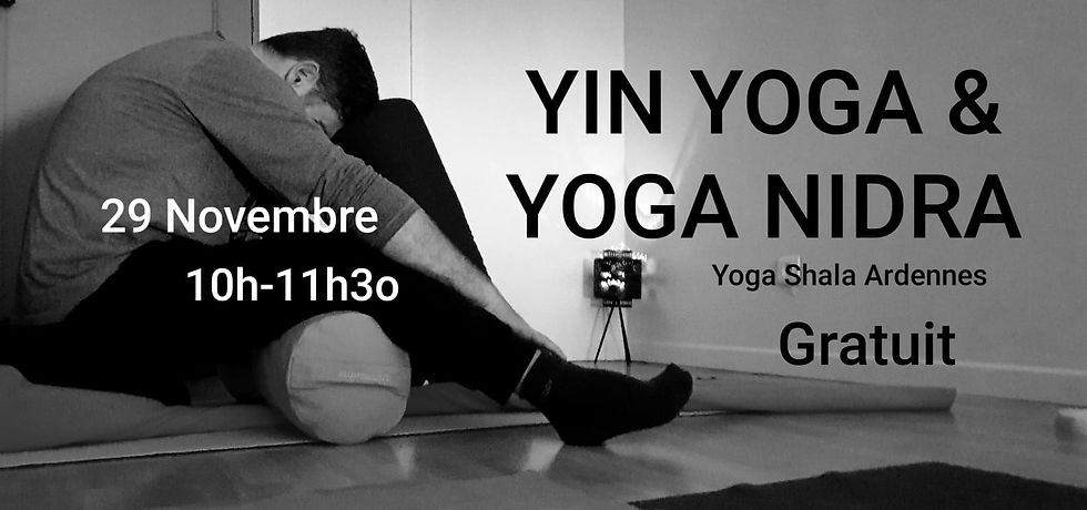Atelier YIN YOGA et YOGA NIDRA en ligne (Zoom)