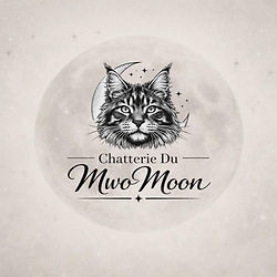 2e9848cb-6d27-4533-a188-7ba551cb1d73.jfif