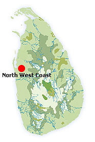 sri-lanka-holidays-m89.jpg