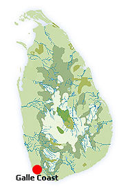 sri-lanka-holidays-m84.jpg