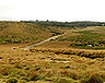 sri-lanka-villas-t119.jpg