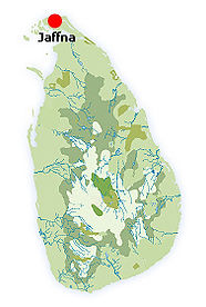 sri-lanka-holidays-m99.jpg