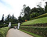 sri-lanka-villas-t120.jpg