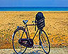 sri-lanka-villas-t342.jpg