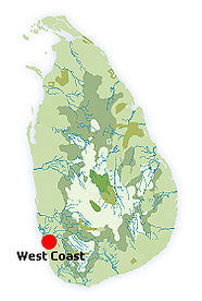 sri-lanka-holidays-m93.jpg