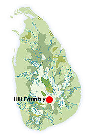 sri-lanka-holidays-m91.jpg
