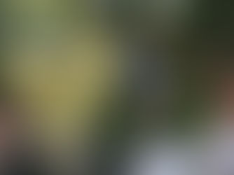 Pascal Marty conduz degustação de produtos inéditos da Peterlongo