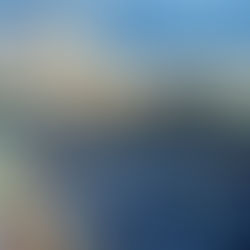 Em evento oficial, Flores da Cunha celebra o início da colheita da uva no Brasil