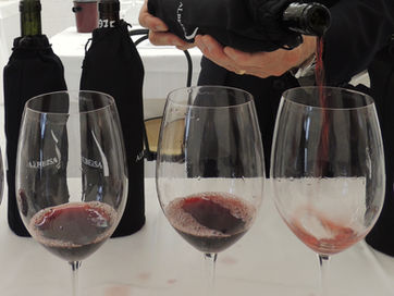 Barolo e Barbaresco:saiba onde e com que uva esses famosos vinhos são elaborados
