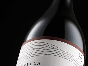 Pinot Noir Capella dos Campos, o novo integrante da Família Lemos de Almeida