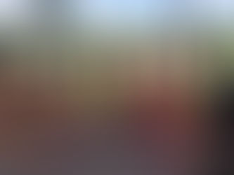 Nove rosés que você deve experimentar: eles são destaque no guia elaborado pela Bon Vivant