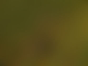 Sul de Minas: Vinhos de inverno conquistam o selo Indicação de Procedência