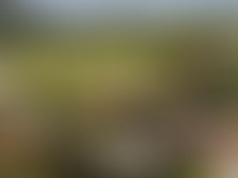 Enoturismo em Lisboa: cidade e entorno atrai cada vez mais apaixonados por vinhos