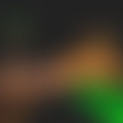 Já é Natal na Vinícola Peterlongo. Confira a programação especial