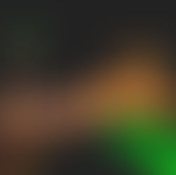 Já é Natal na Vinícola Peterlongo. Confira a programação especial