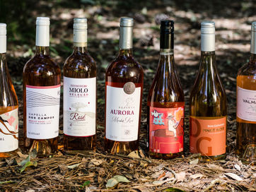 Frescos e delicados: sete vinhos rosés  que você deve conhecer