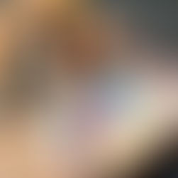 Vinícola Aurora lança novas experiências de enoturismo