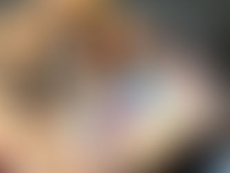 Vinícola Aurora lança novas experiências de enoturismo