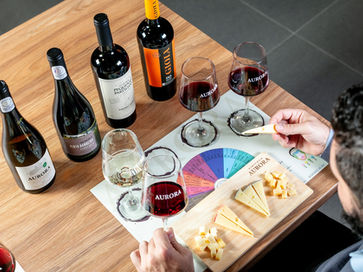 Vinícola Aurora lança novas experiências de enoturismo