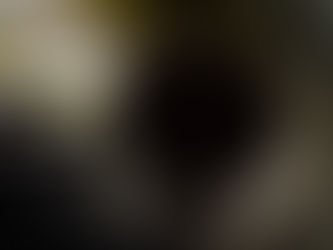 De quem é o Touriga Nacional gaúcho avaliado com 93 pontos pela Bon Vivant?