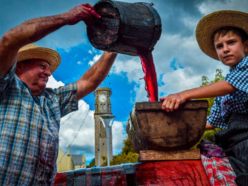 Uva, vinho e tradição: último final de semana da Festa da Vindima, em Flores da Cunha