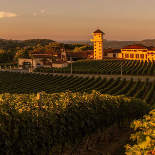 ‘Miolo Anoitecer’ é a nova experiência no Vale dos Vinhedos