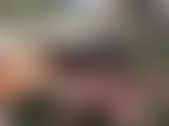 Cinco Cabernet Franc brasileiros para beber nesse fíndi com link para compra!