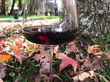 Cinco Cabernet Franc brasileiros para beber nesse fíndi com link para compra!