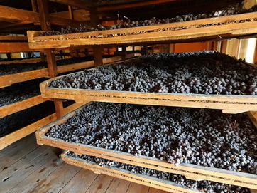Técnica usada pelos produtores da Valpolicella pode se tornar Patrimônio da Unesco em breve