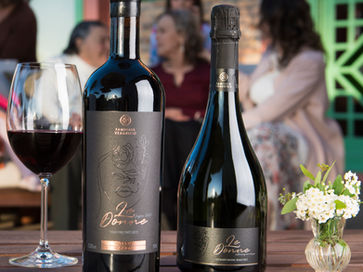 Vinícola Veadrigo lança linha em homenagem às mulheres da família