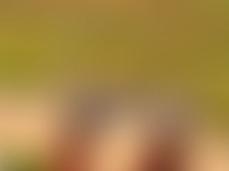 Vinícolas dos Altos Montes reabrem as portas para visitações e compas