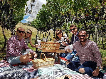 Último final de semana para aproveitar a 'Vindima de Altitude' em SC