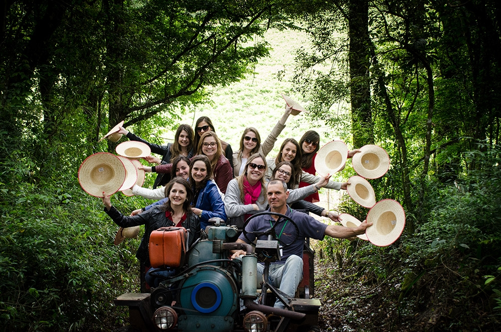 O que fazer em Flores da Cunha (RS) durante o 'Dia do Vinho'