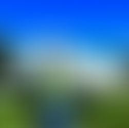 Enoturismo: Vinícola Gazzaro adquire avião para transformar em atração turística