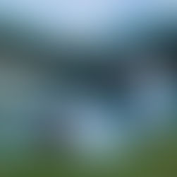 Adega do Grêmio é o primeiro clube de vinhos destinado aos torcedores de um time de futebol